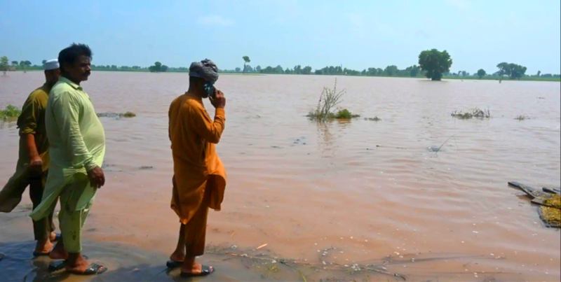 巴基斯坦野生动物面临洪水
